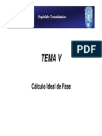 TEMA V