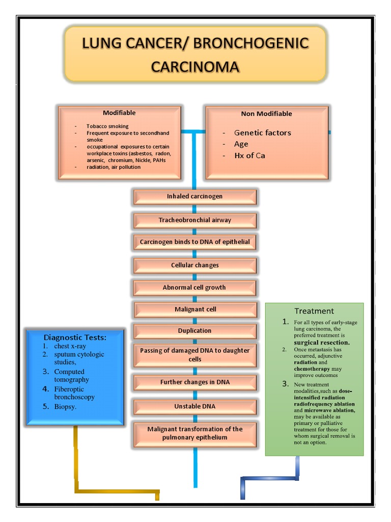 Lung Cancer Pathophysiology Overview | PDF