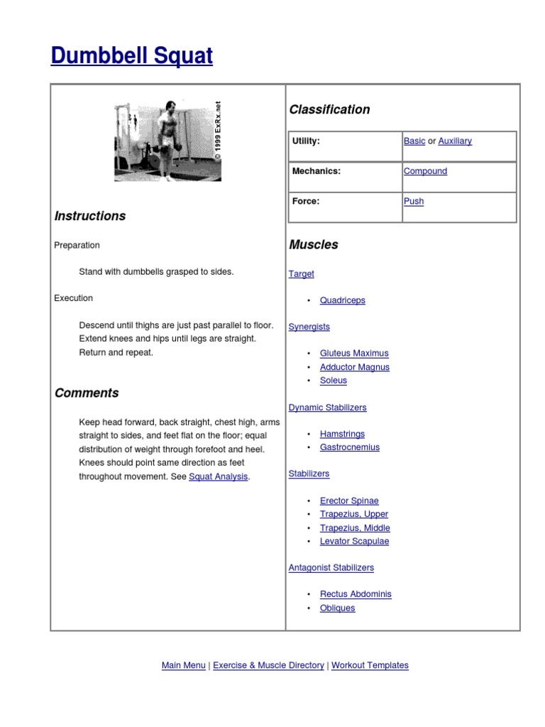 Dumbbell Squat Guide for Fitness Enthusiasts | PDF | Self-Improvement ...