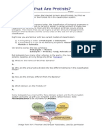 Fixed Protista Worksheet