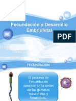 Fecundacion y Desarrollo Embriofetal