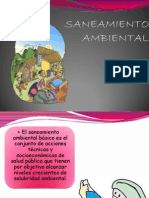 Saneamiento Ambiental Nelly