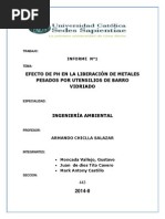 Informe Final Plomo