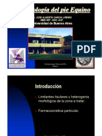 Farmacologia Clinica Del Pie Equino.ppt