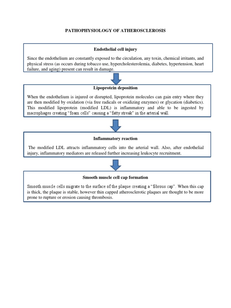 Pathophysiology Of Atherosclerosis Pdf
