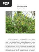 A planta analizada pertence a família Malpighiaceae e a espécie Galphimia brasiliense