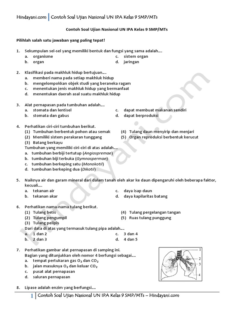 Latihan Soal Online Smp Kelas 9 Biologi