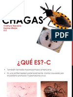 Chagas enfermedad pp