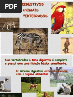 Sistemadigestivonosanimais 6ano 100402185614 Phpapp01