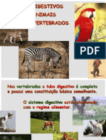 Sistemadigestivonosanimais 6ano 100402185614 Phpapp01