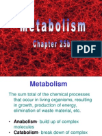  Metabolism