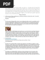 How to Find Truffles in the Forest