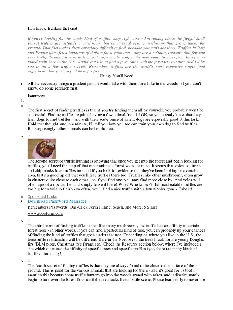 How To Find Truffles in The Forest PDF Trees Fungus