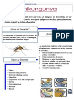 Chikungunya1