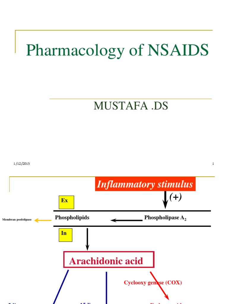 Pharmacology of NSAIDS: Mustafa .Ds | PDF | Nonsteroidal Anti ...