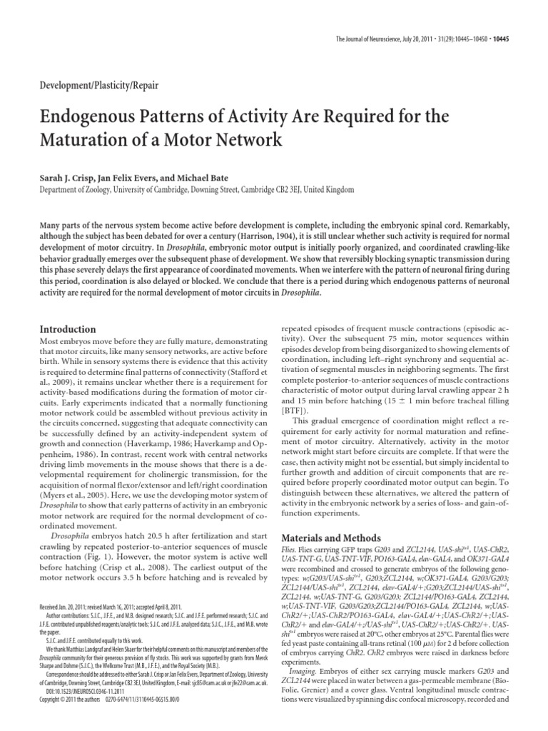 Endogenous Patterns of Activity Are Required For The Maturation of A ...