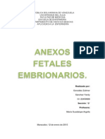 Anexos Fetales Embrionarios Trabajo