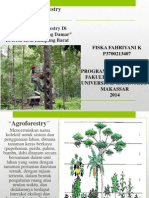 Tugas Agroforestry Lanjutan (FISKA FAHRIYANI K)