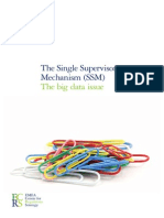 The Single Supervisory Mechanism (SSM) - The Big Data Issue