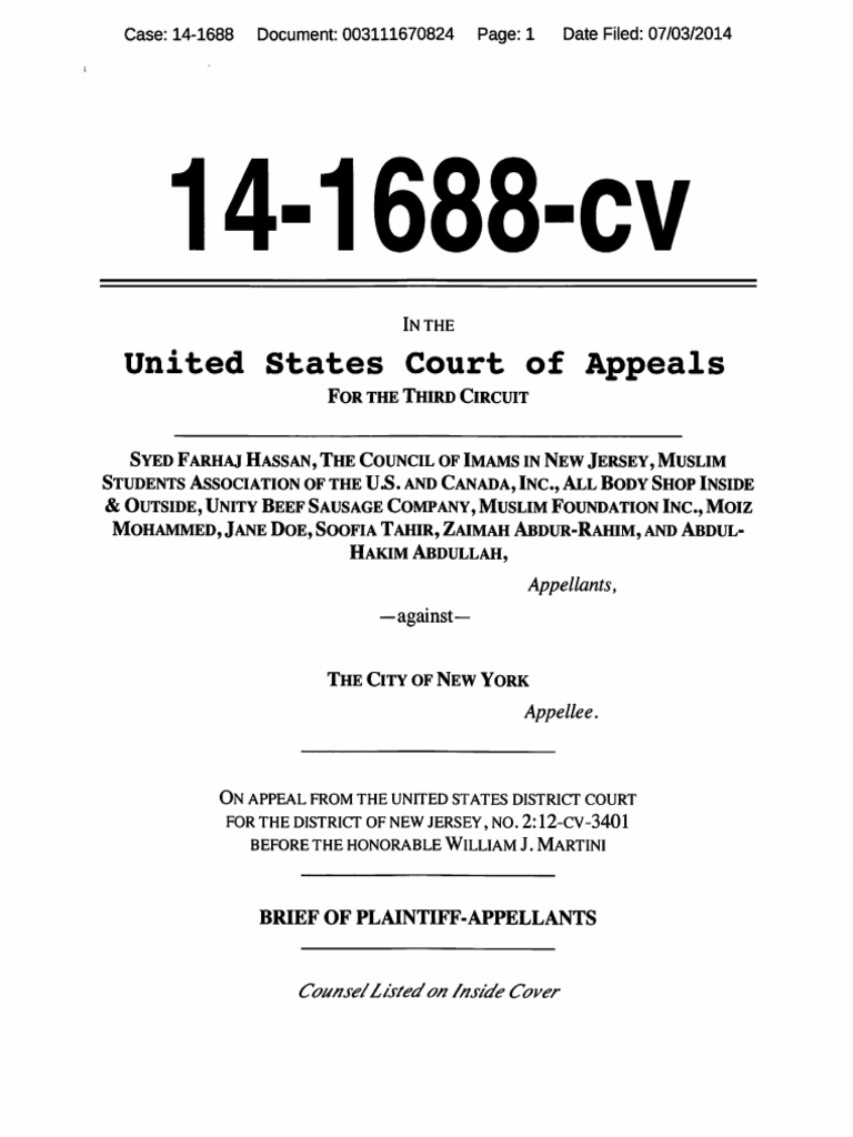 Hassan v. NYC 3rd Circuit Appeal 07032014 PDF Standing (Law