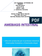 Amebiasis Intestinal