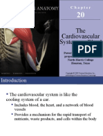 The Cardiovascular System - : Blood
