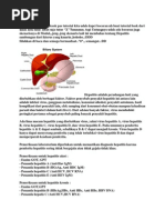 Download Hepatitis by Althaf Fathan SN252461230 doc pdf