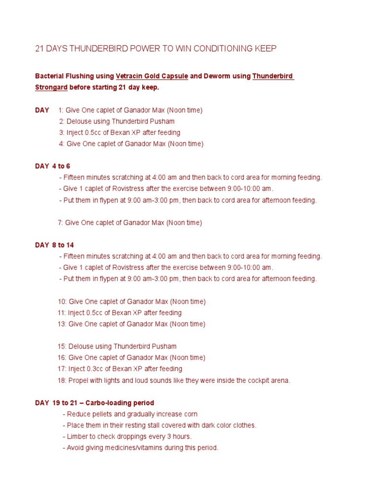 Battlecock Conditioning | PDF