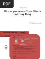 Download Microorganism and Their Effects on Living Thing by rubihambali SN25246658 doc pdf