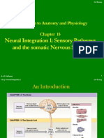 Introduction To Anatomy and Physiology: Neural Integration 1: Sensory Pathways and The Somatic Nervous System