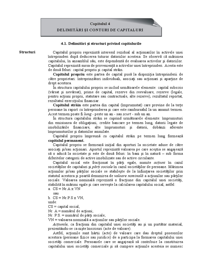 4) Delimitări Și Conturi de Capitaluri | PDF