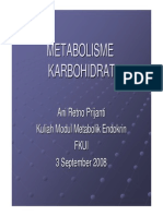 Metabolisme Karbohidrat PDF