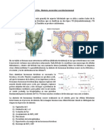 Tema 15.2 - Esther Herrera