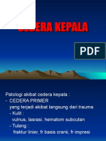 CEDERA KEPALA