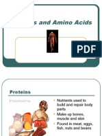 proteins and amino acids notes