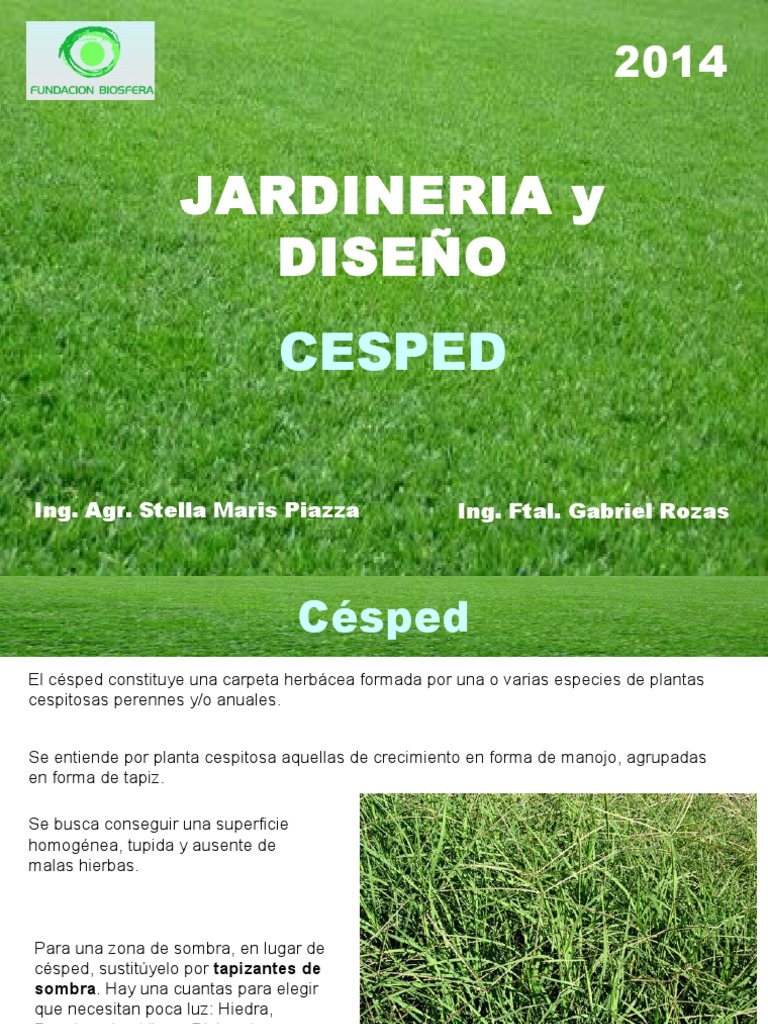 6) Cesped | Pajote | Suelo