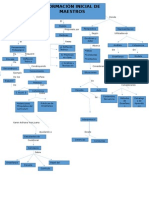 Formacion Inicial Del Maestro Mapa Conceptual