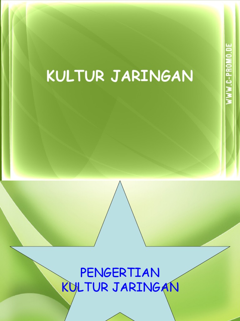 kultur_jaringan.ppt