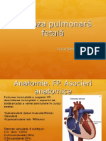 Stenoza Pulmonară Fetală