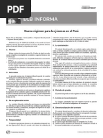 nuevo regimen para jovenes en el peru.pdf
