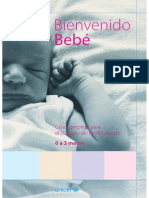 Bienvenido Bebe. - UNICEF 2005