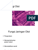 Jaringan Otot PDF