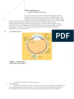 Refarat Simple Miop Astigmat