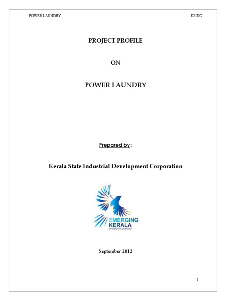 Power Laundry Project Overview | PDF | Debt | Revenue