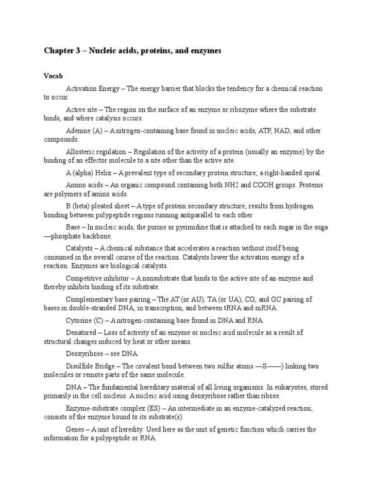 chapter 3 nucleic acids proteins and enzymes Nucleic Acids Rna