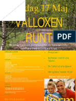 Valloxenrunt 08