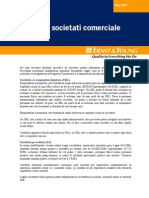 Tipuri de Societati Comerciale