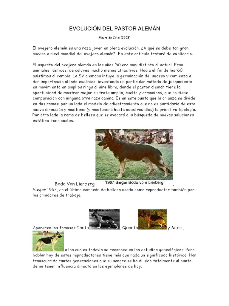 Evolucion_pastor_aleman.pdf