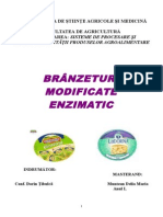 Branzeturi modificate enzimatic