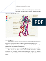 Mekanisme Peredaran Darah Janin